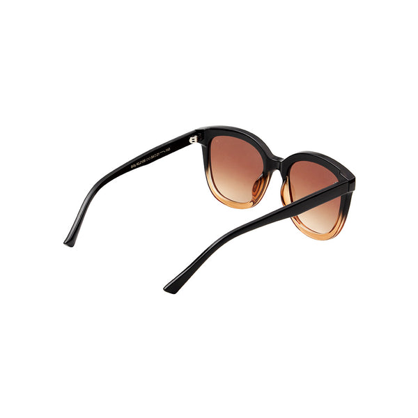 Billy Sunglasses - Black/Brown Transparent