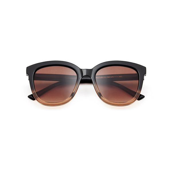 Billy Sunglasses - Black/Brown Transparent