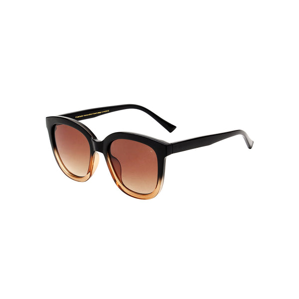 Billy Sunglasses - Black/Brown Transparent